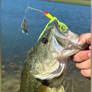 Meet your Posher, Devin